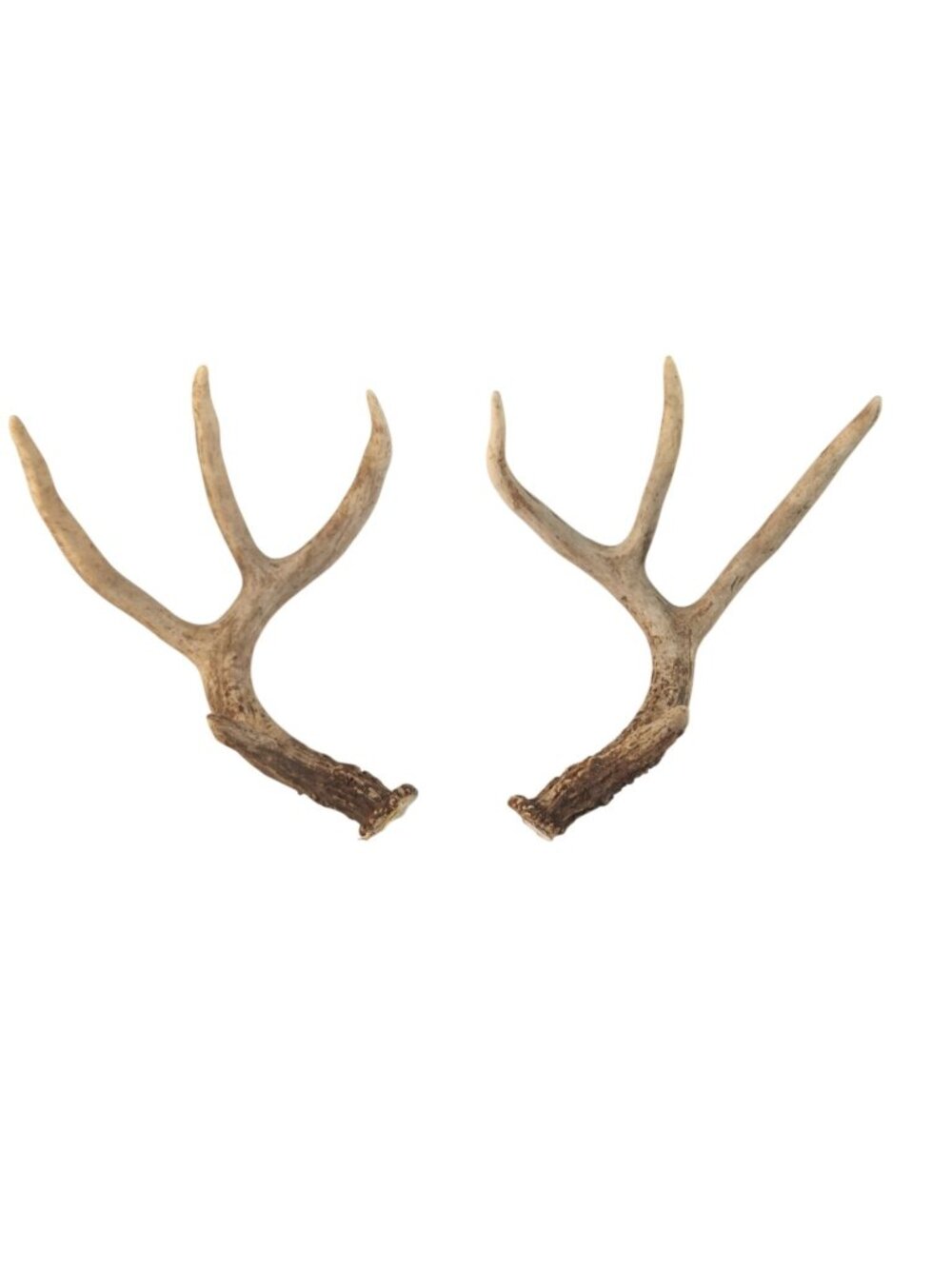 Natural Antler Craft Pieces (Matched Set) – Rustic Decor, Wreath Making, DIY Sup